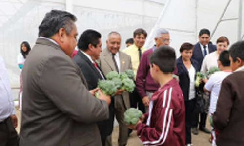 “Mi Escuela Produce” cosecha frutos 