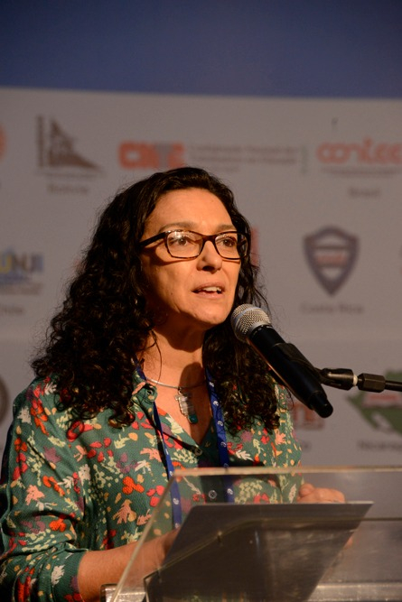 Exposición: el proceso de comercialización, privatización y evaluación